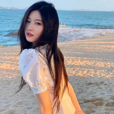 女税务官 封面